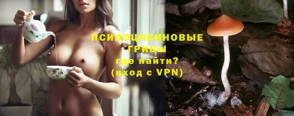 молекула духа Бугульма