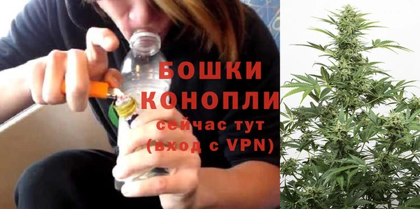 молекула духа Бугульма