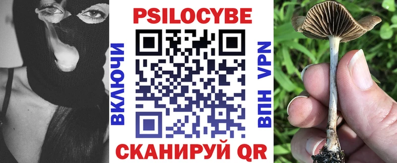 Купить  Берёзовский  Псилоцибиновые грибы Magic Shrooms 